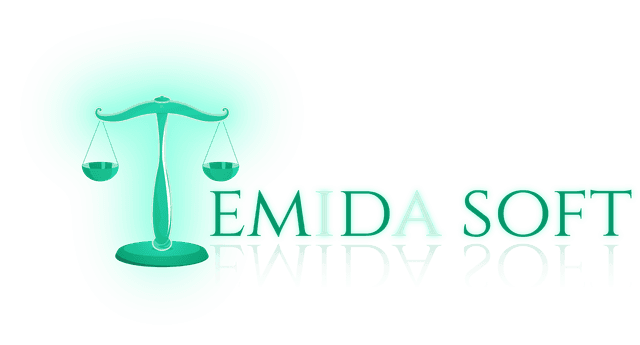 TemidaSoft Logo